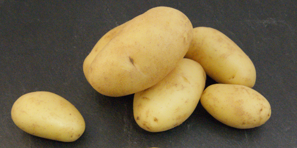 Jac van den Oord Potatoes presenteert Asperge Aardappelen