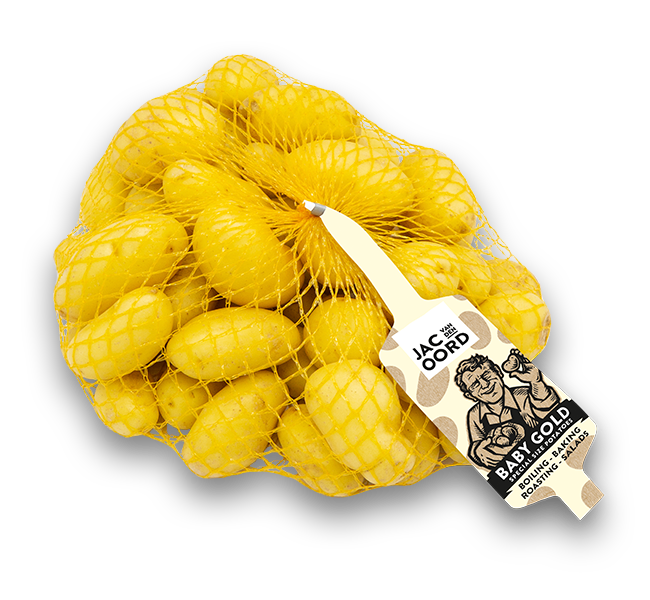 web_CLIPNET_Baby_Gold